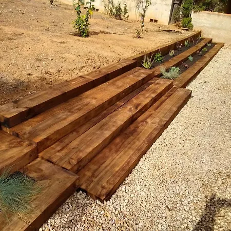 Ardillas * Calp